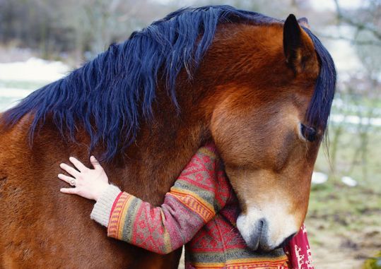 46006531 - portrait woman and horse in outdoor. woman hugging a horse
